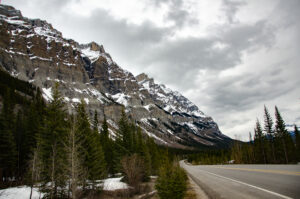 A closeup of a road and fir trees in the foreground of snow-capped mountain